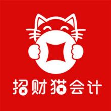 代理记账 企业财务管理的明智之选